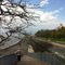 Verrazano Narrows Bridge Neighborhood, 2011