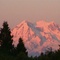 Mt Rainier from Bob's Place (RIP) Yelm