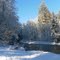 winter in my backyard