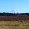 Mt. Ranier from Yelm