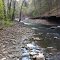 Horsehead Creek