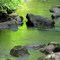 Old Rock's Cool Bath Water