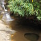 Potholes & Cascades (~70') above Glen Falls