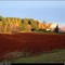 Adirondack
