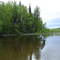 mouth fish creek
