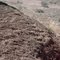 Cryptobiotic Soil