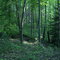 Pump Gap Trail at AT