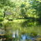 Dillard 147-acre property