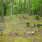 Cemetery