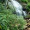 Waterfall on West Prong Hickey Fork - Pisgah National Forest - Shelton Laurel area - Madison County, NC
