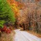 Green Mountain Rd
