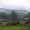 Foggy Fall Day