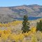 Fall colors along Fremont Lake, Wyoming