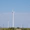 Horse Hollow Wind Turbines
