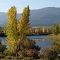 Fall colors along the Green River in Browns Park, Utah