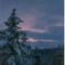 Oregon Winter 0f 92