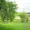 Panorama of the back yard