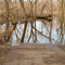 Flooded Trail, Rum River Central Regional Park, Ramsey, Minnesota