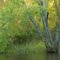 Rum River, Rum River Central Regional Park, Ramsey, Minnesota