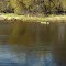 Kayak on the Rum River, Cedar Creek Nature Area, Oak Grove, Minnesota
