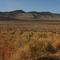 North of the Grand Canyon