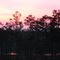 Alabama sunrise