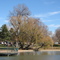 Washington Park 3