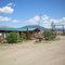 Safari Ranch