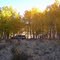 Camp Near Mount Silverheels Road in the Fall