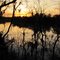 Coosa River