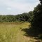 Wilburn Farm Fields