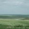 Tall Grass Prairie