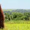 Tallgrass Prairie National Preserve area