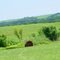 Near the Tallgrass Prairie NP