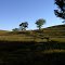 Tallgrass Prairie National Preserve 02