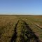 Road to Nowhere