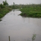 Bayous y Alligators en Louisiana