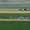 Farm