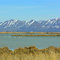 At the Salt Creek Waterfowl Area.
