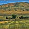 Near Collinston Utah