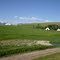 JG Bar Ranch in Roscoe, Montana