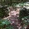 FLT M06 1.5 mi - Stone structures just below RR bed