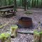 FLT M06 4.5, 0.2 on blue Marg Hinz mi - Marg Hinz Bivouac with fire ring, table, outhouse, and piped spring