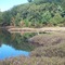 Quaking bog at Moss Lake