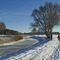 bei -12°C