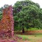 Isle De Bois SP