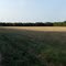 Early Evening open spot along the Greenbelt Trail