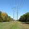 Clearing for Electric Poles to pass on 380-Greenbelt