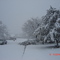 AubreySnow March 2008