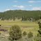 Meadow at Aspen Ridge Resort